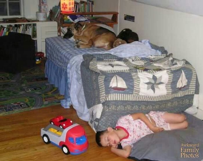 Люди делятся смешными и странными фотографиями своих питомцев