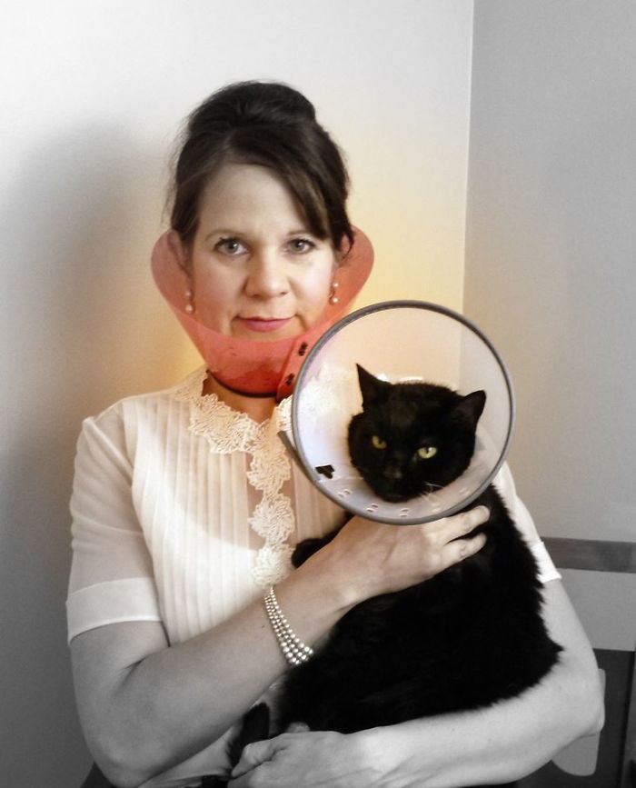 Люди делятся смешными и странными фотографиями своих питомцев