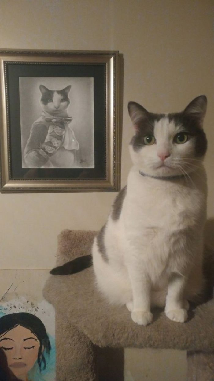 Люди делятся смешными и странными фотографиями своих питомцев