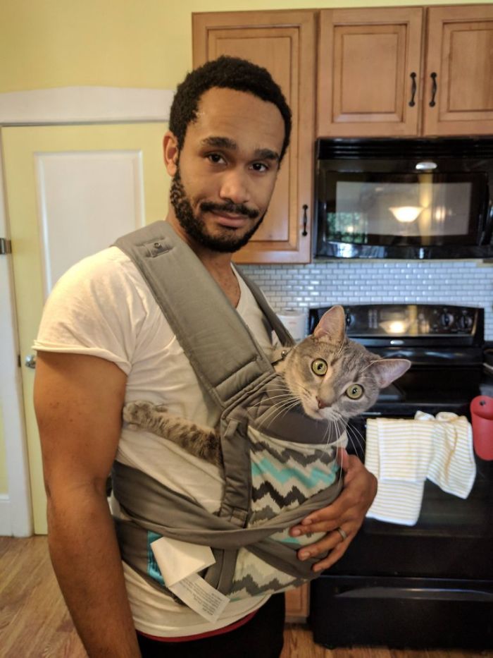 Люди делятся смешными и странными фотографиями своих питомцев