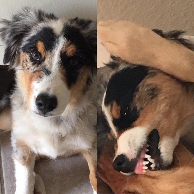 Эти девушки не боятся выглядеть страшными и смешными, девушки корчат страшные и смешные рожи