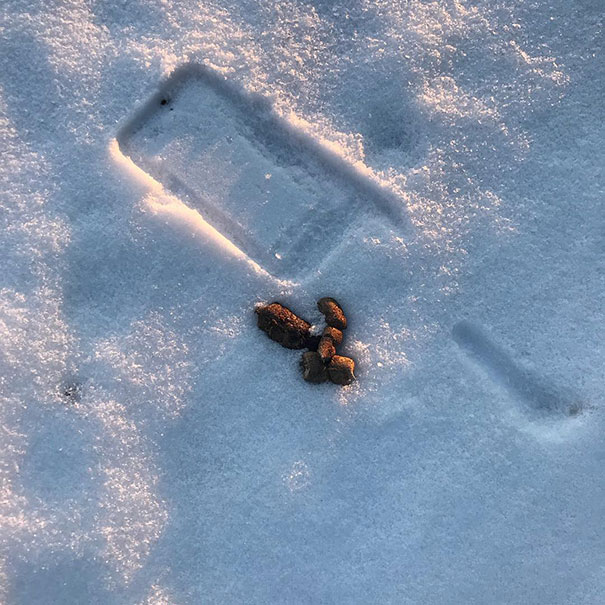 люди были в шаге от катастрофы, людям повезло, счастливчики которым повезло