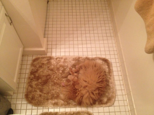 люди были в шаге от катастрофы, людям повезло, счастливчики которым повезло