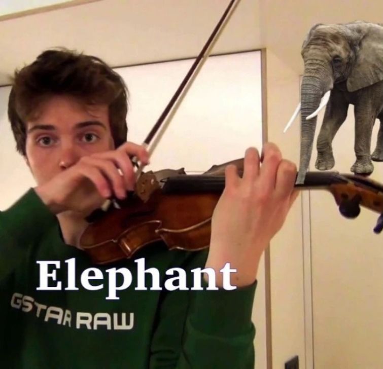 Парень показал, что его скрипка может издавать звуки разных животных, и это невероятно звуки животных на скрипке, воссоздал звуки животных на скрипке