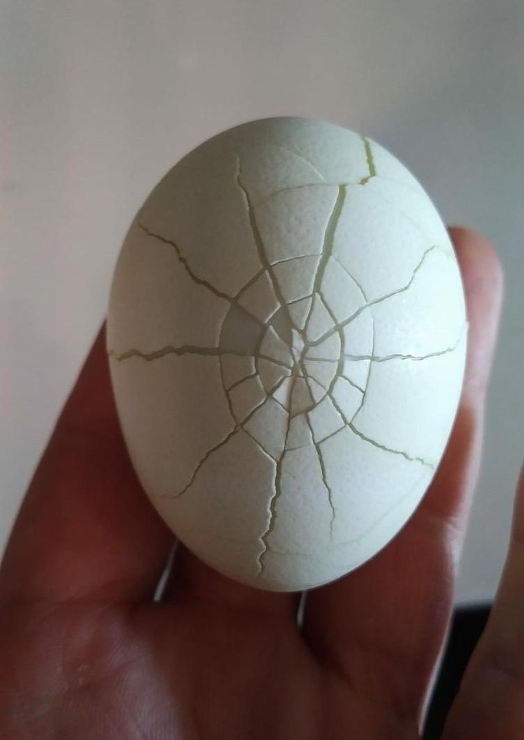 удивительные совпадения, инетресные фотографии, интересные случаи, случаи в повседневной жизни