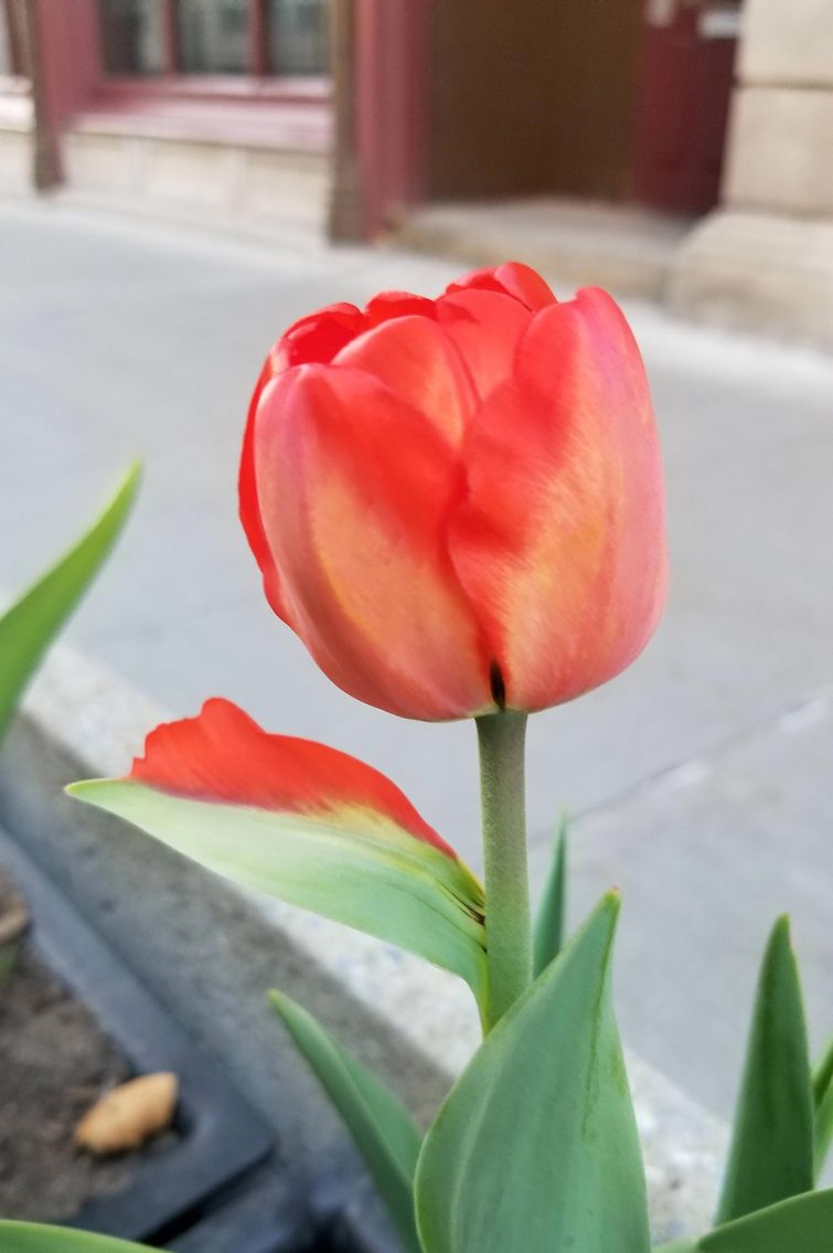 удивительные совпадения, инетресные фотографии, интересные случаи, случаи в повседневной жизни