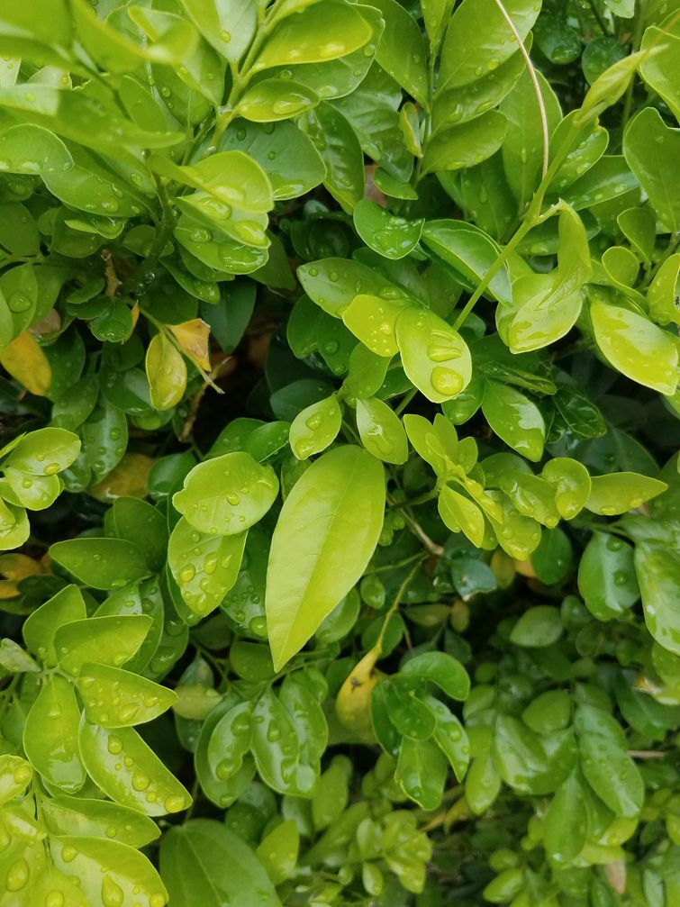 удивительные совпадения, инетресные фотографии, интересные случаи, случаи в повседневной жизни