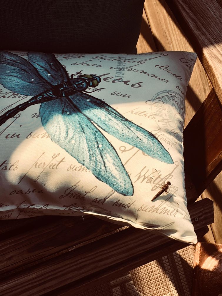 удивительные совпадения, инетресные фотографии, интересные случаи, случаи в повседневной жизни