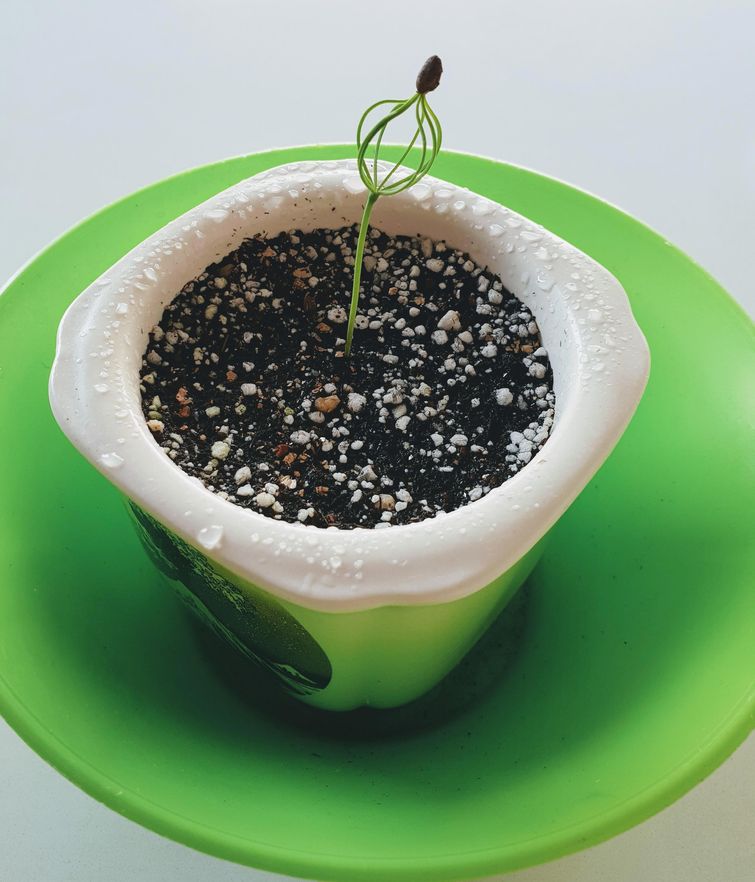 удивительные совпадения, инетресные фотографии, интересные случаи, случаи в повседневной жизни