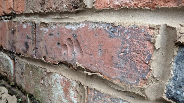 удивительные совпадения, инетресные фотографии, интересные случаи, случаи в повседневной жизни