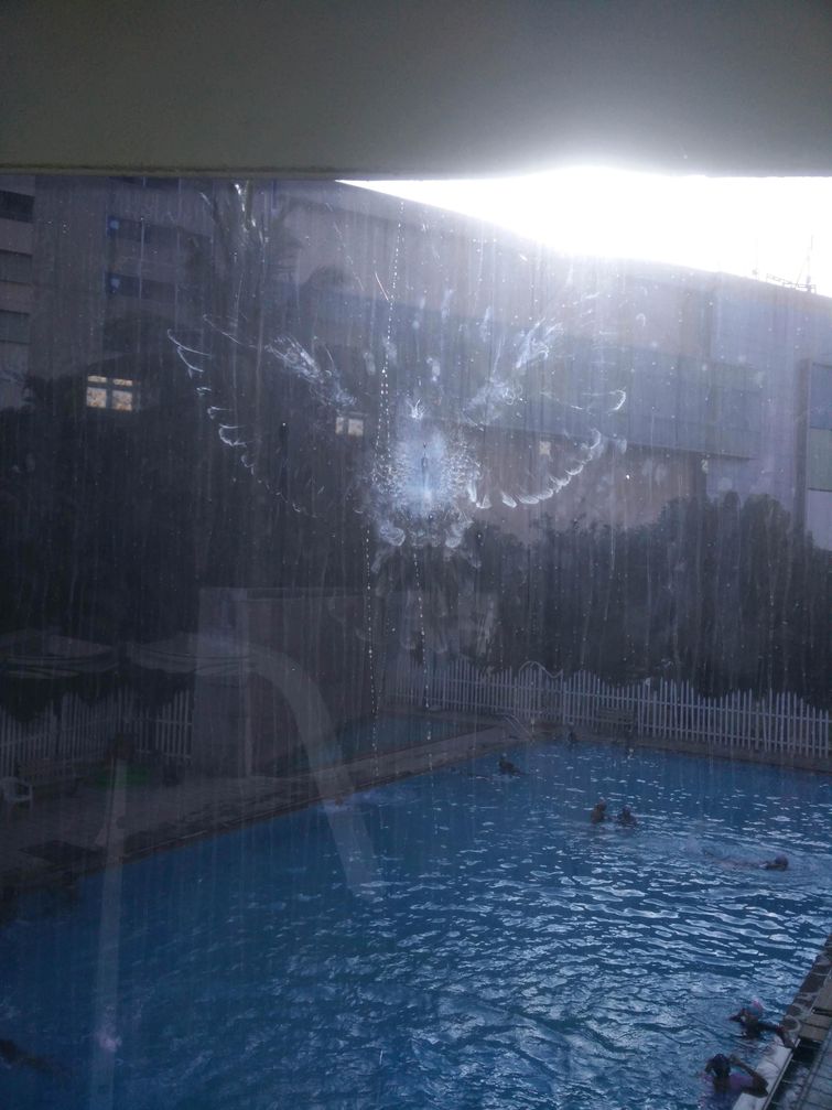 удивительные совпадения, инетресные фотографии, интересные случаи, случаи в повседневной жизни