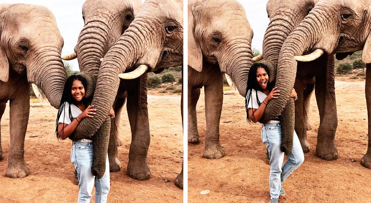 смешные животные, милые животные 