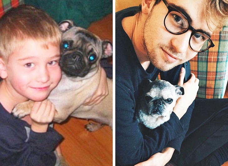 смешные животные, милые животные 