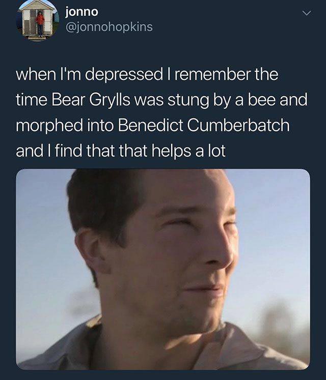 лица людей после аллергии, лица животных после аллергии, люди после аллергической реакции, животные после аллергической реакции