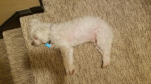 Вам придётся посмотреть дважды на эти фотографии, фотографии на которые нужно посмотреть дважды