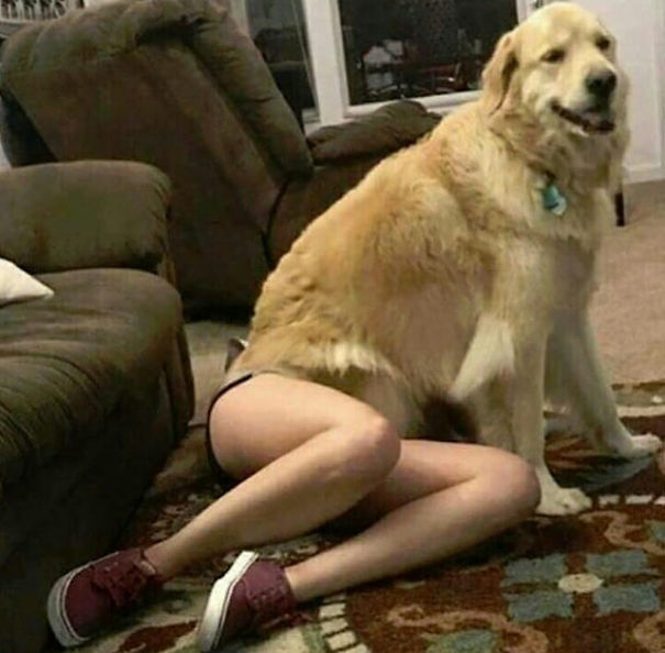 Вам придётся посмотреть дважды на эти фотографии, фотографии на которые нужно посмотреть дважды