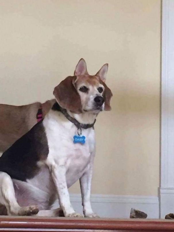 Вам придётся посмотреть дважды на эти фотографии, фотографии на которые нужно посмотреть дважды