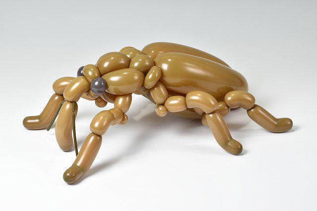 животные из шариков, реалистичные животные из шариков, детализированные животные из шариков, насекомые из шариков