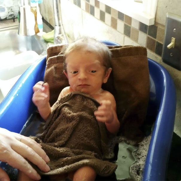 25 смешных фотографий младенцев, которые очень похожи на стариков младенцы которые очень похожи на стариков