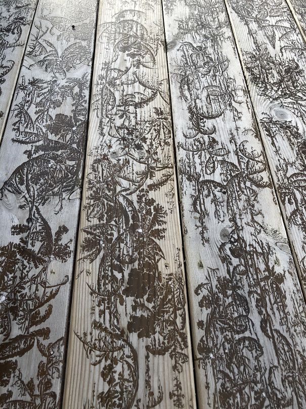 25 раз, когда случайное искусство было лучше, чем намеренное случайное искусство было лучше чем намеренное