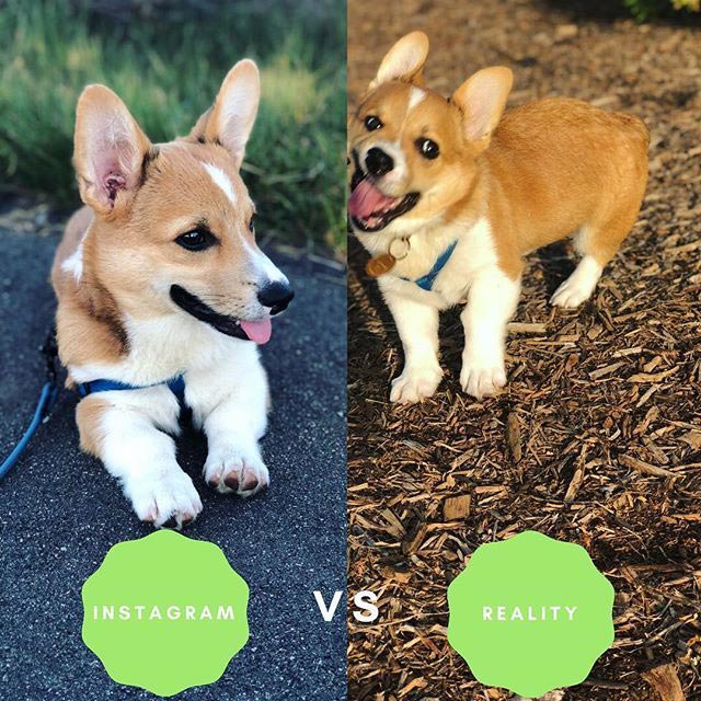 Инстаграм против реальной жизни: 25 правдивых фотографий раскрывающих правду о соц сетях Инстаграм против реальной жизни, правдивые фотографии раскрывающие правду о соц сетях