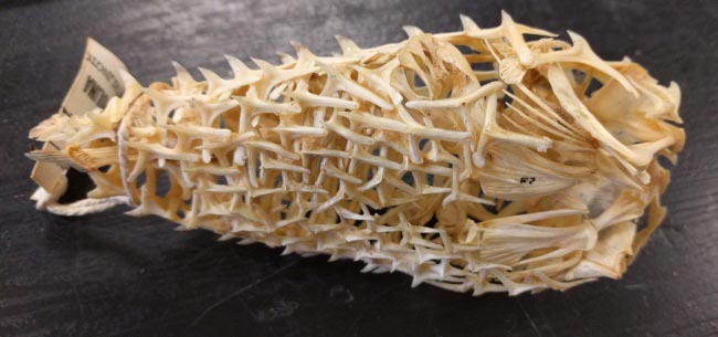 познавательные фотографии, фотографии об окружающем мире