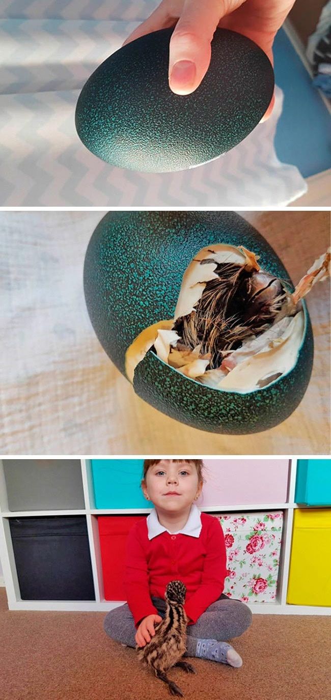 познавательные фотографии, фотографии об окружающем мире