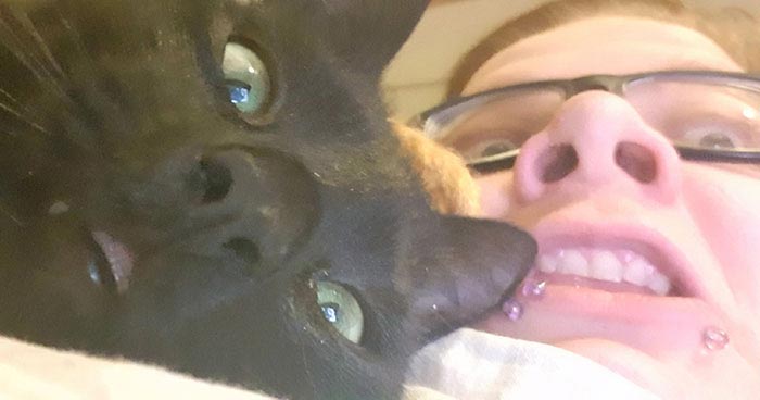 кот впервые вышел на балкон, кот Нука