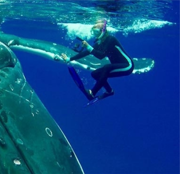 кит спас человека, кит защитил человека, кит спас дайвера, кит спас дайвера от акулы