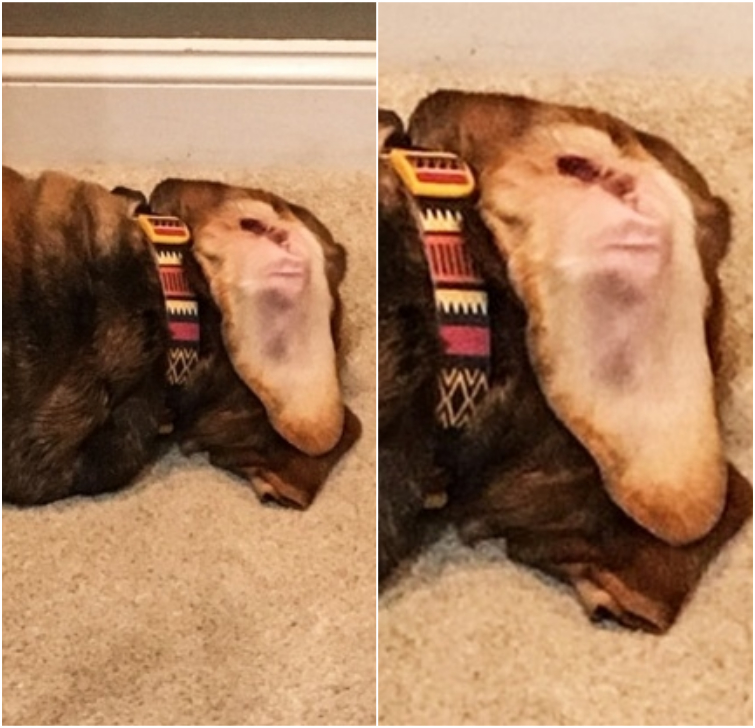 фотографии на которые хочется взглянуть дважды, впечатляющие фотографии 