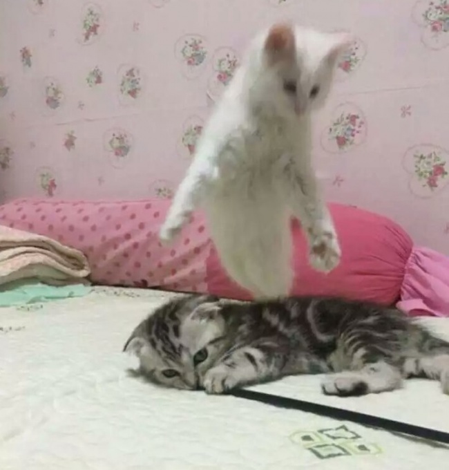 фотографии на которые хочется взглянуть дважды, впечатляющие фотографии 