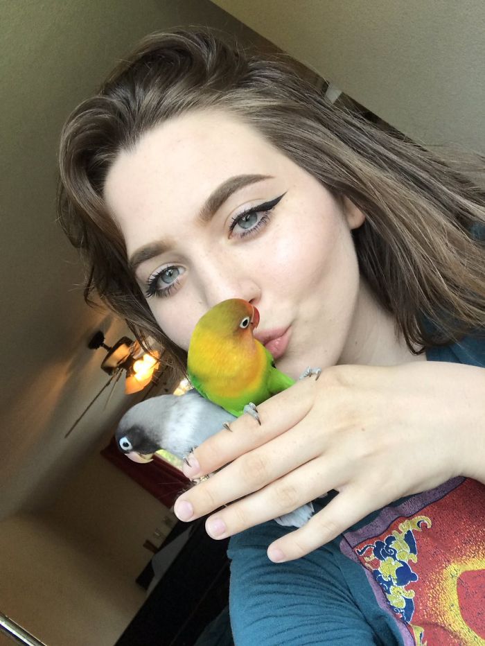 Разноцветный попугай и его готическая подружка. попугай киви и его подружка-гот, киви и Сиукси