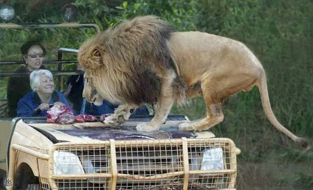 люди которым плевать, людям плевать, им просто плевать