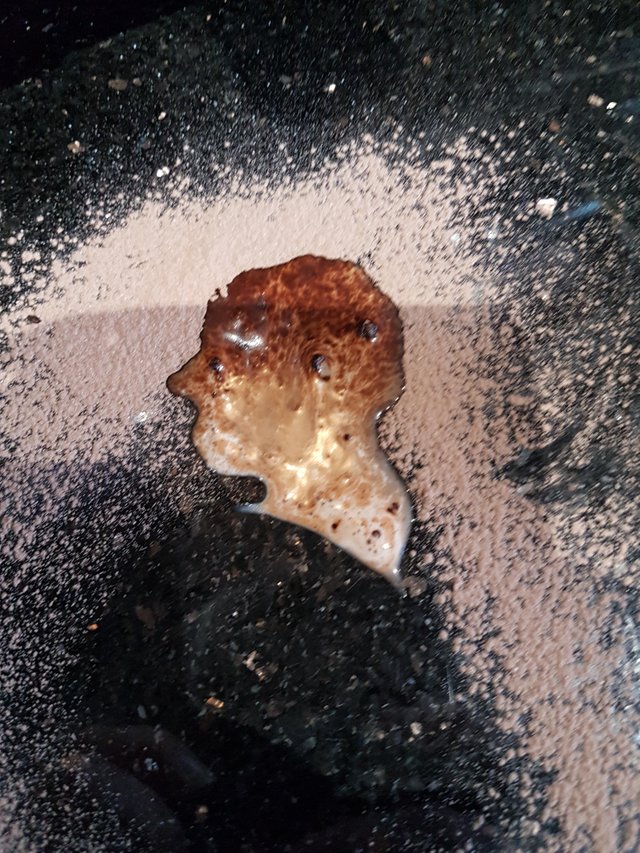 25 удивительных и редких фотографий, доказывающих, что мы не всё знаем об этом мире удивительные и редкие фотографии, мы не всё знаем об этом мире