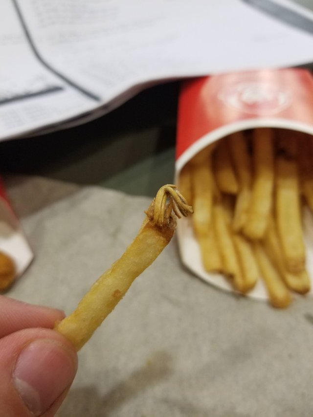 25 удивительных и редких фотографий, доказывающих, что мы не всё знаем об этом мире удивительные и редкие фотографии, мы не всё знаем об этом мире