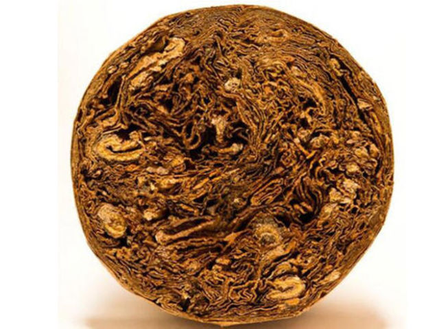 25 привычных вещей, которые вы точно не видели в разрезе (унитаз, шишка, роза) привычные вещи которые вы точно не видели в разрезе