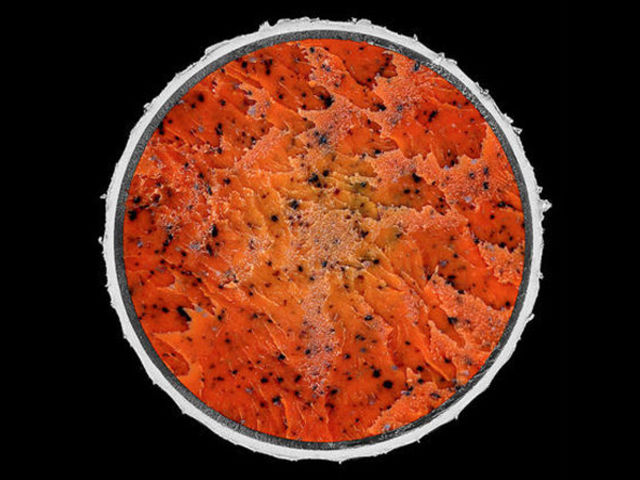 25 привычных вещей, которые вы точно не видели в разрезе (унитаз, шишка, роза) привычные вещи которые вы точно не видели в разрезе