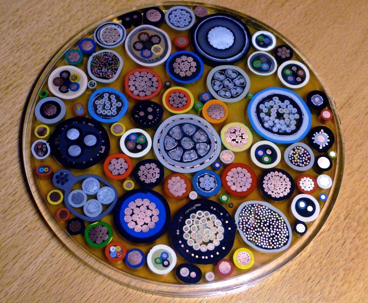 25 привычных вещей, которые вы точно не видели в разрезе (унитаз, шишка, роза) привычные вещи которые вы точно не видели в разрезе