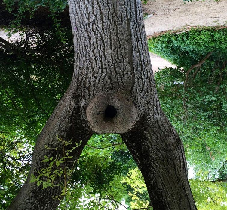 двйоный смысл, опошлили фотографии, фотографии не то чем кажутся, прикольные фотографии