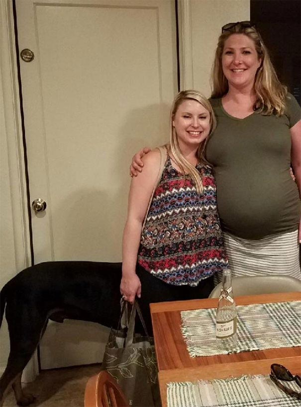 оптические иллюзии, невероятные оптические иллюзии, оптические иллюзии в повседневной жизни, самые оптические иллюзии