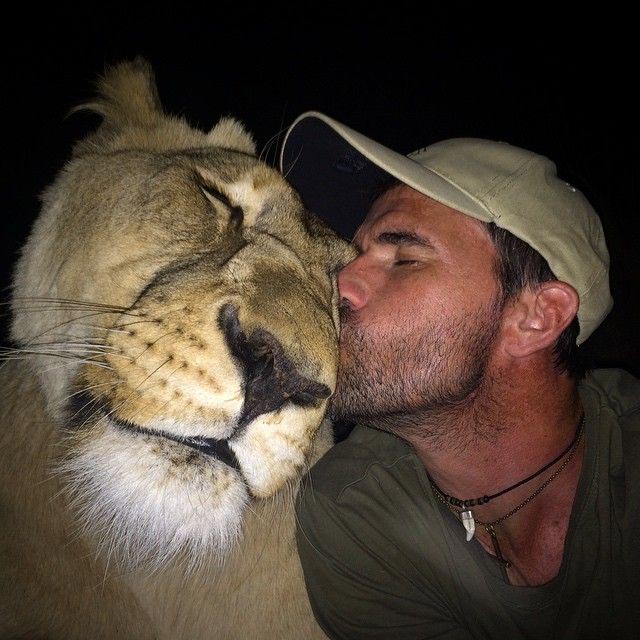 10 историй невероятной дружбы между людьми и дикими животными истории дружбы людей с дикими животными, люди дружат с диким животными