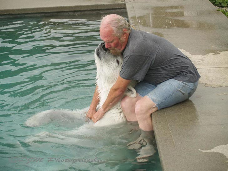 10 историй невероятной дружбы между людьми и дикими животными истории дружбы людей с дикими животными, люди дружат с диким животными