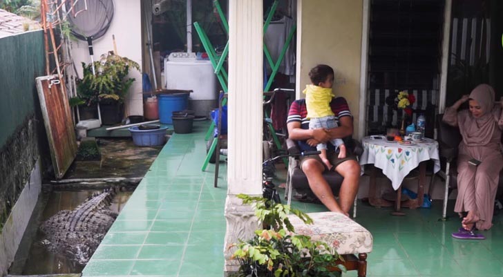 10 историй невероятной дружбы между людьми и дикими животными истории дружбы людей с дикими животными, люди дружат с диким животными