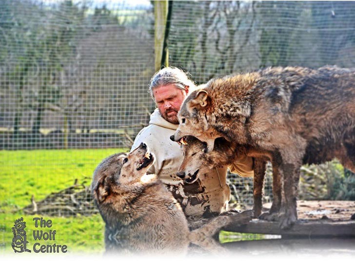 10 историй невероятной дружбы между людьми и дикими животными истории дружбы людей с дикими животными, люди дружат с диким животными
