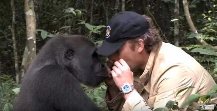 10 историй невероятной дружбы между людьми и дикими животными истории дружбы людей с дикими животными, люди дружат с диким животными