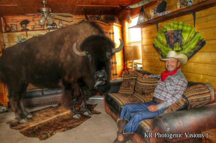 10 историй невероятной дружбы между людьми и дикими животными истории дружбы людей с дикими животными, люди дружат с диким животными