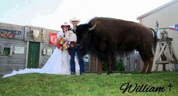 10 историй невероятной дружбы между людьми и дикими животными истории дружбы людей с дикими животными, люди дружат с диким животными