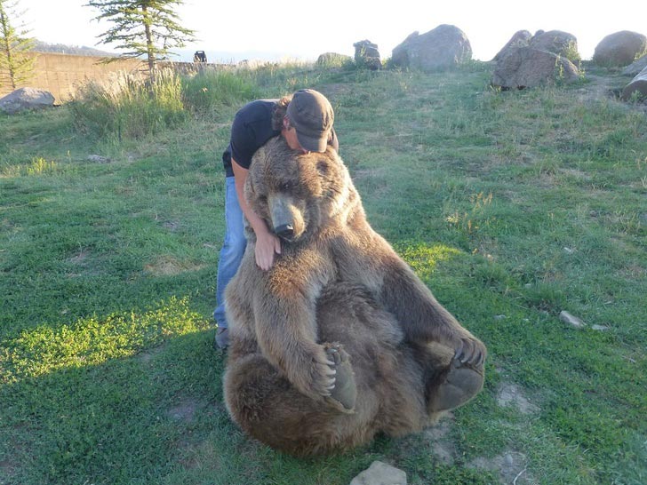 10 историй невероятной дружбы между людьми и дикими животными истории дружбы людей с дикими животными, люди дружат с диким животными