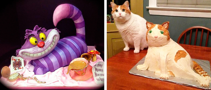 кулинарные провалы, ожидание против реальности 