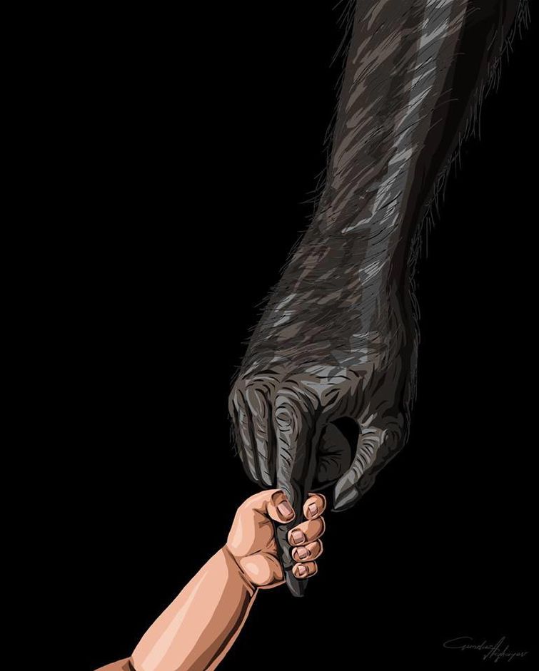 Гюндуз Агаев, Gunduz Aghayev, Gunduz Aghayev Human Hands, Гюндуз Агаев руки человека